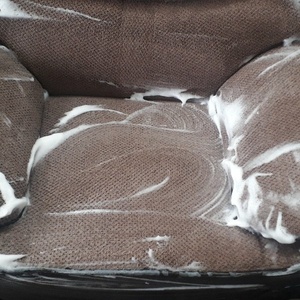 زهرا حسن زاده باغینی