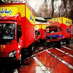 امیر حسین شعبانی سامله