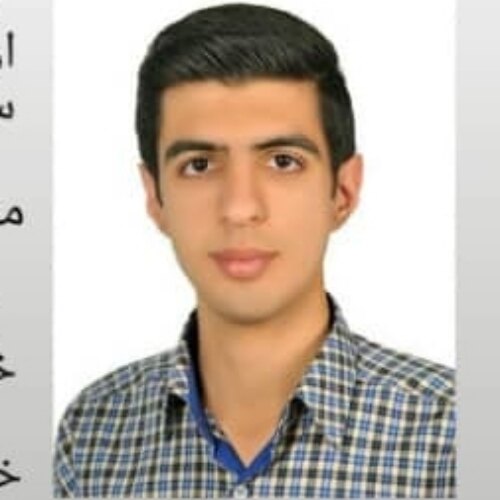 حسین سلیمانی