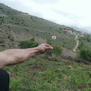 مهران جعفرصالحی