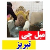 حسین حضرتی دستجرد
