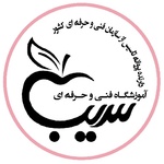 میثم محمدی