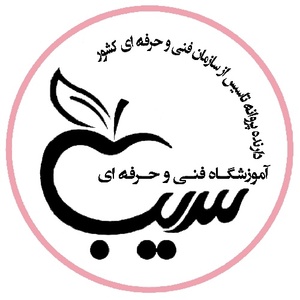 میثم محمدی