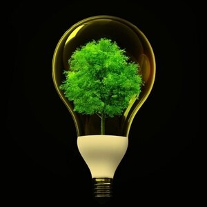 علیرضا حسین زاده زارعی