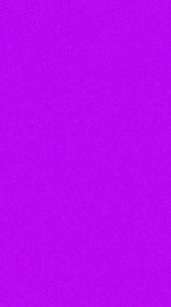 مهدی بیگ مرادی