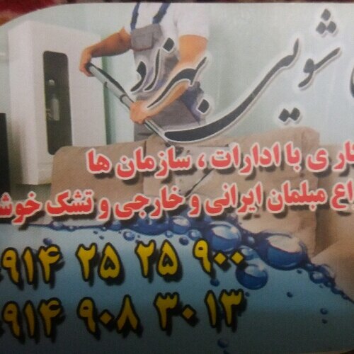 بهزاد نقی یان