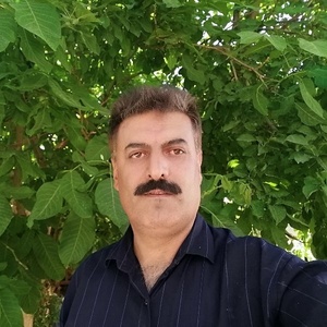 علیرضا ابن علی