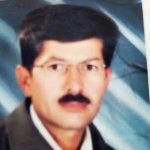 ولی سلیمانی