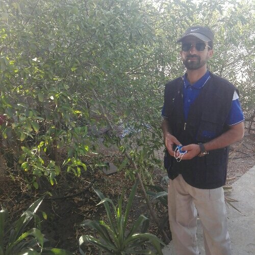 بهنام شعبانی ابنوی