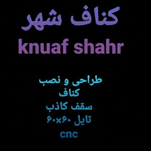 سید شهرام کاظمی