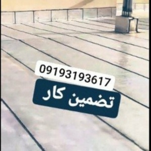 حیدرعلی شامخی احمدپور