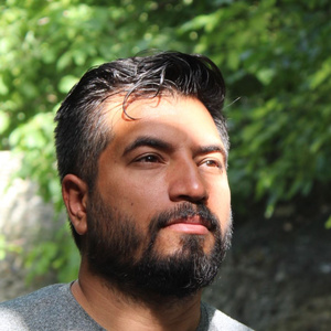 علی ارگنجی صانی