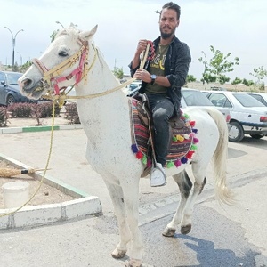 عبدالحمید تاجی هزاره