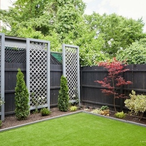 امیر حسین لطیفی تبار