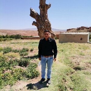 محمد ارجمند