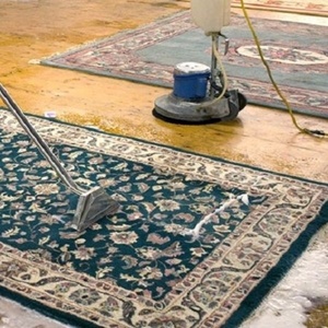 محمدرضا میش مست