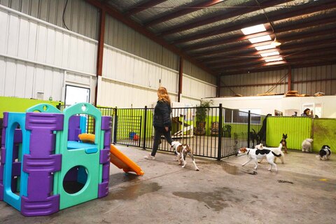 عوامل موثر بر هزینه پانسیون سگ و قیمت پانسیون سگ 2