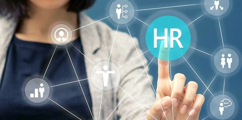 هزینه مشاوره منابع انسانی