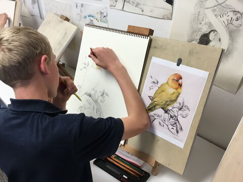 هزینه آموزش نقاشی